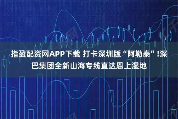 指盈配资网APP下载 打卡深圳版“阿勒泰”!深巴集团全新山海专线直达恩上湿地