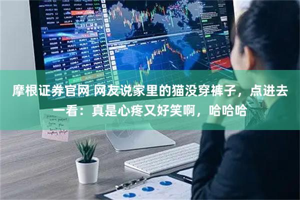 摩根证券官网 网友说家里的猫没穿裤子，点进去一看：真是心疼又好笑啊，哈哈哈