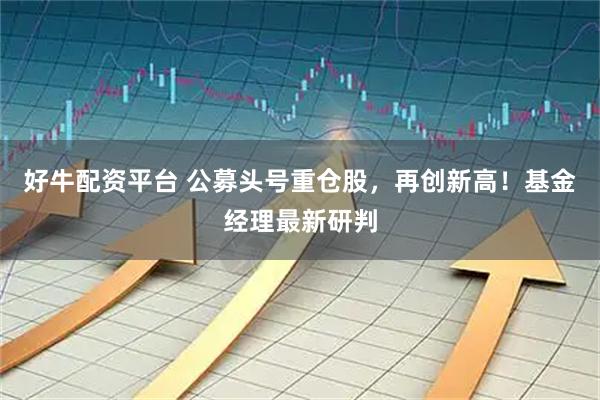 好牛配资平台 公募头号重仓股，再创新高！基金经理最新研判